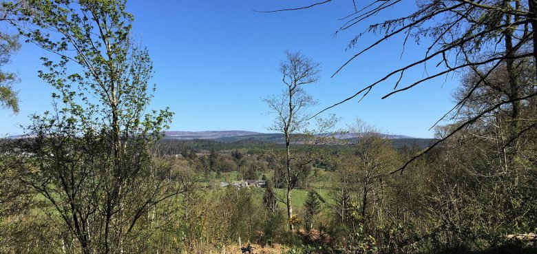 View towards Dalbeattie forest kirkennan woods short loop