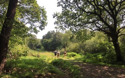 Rejoin the main track walk to white port beach dumfries and galloway