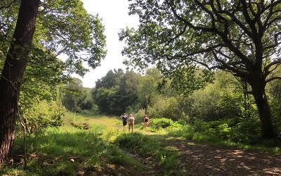 Rejoin the main track walk to white port beach dumfries and galloway