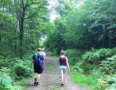 Walk through woodland to white port beach dumfries and galloway