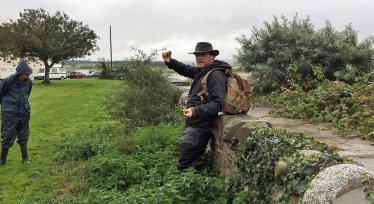 Foraging